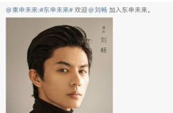 演员刘畅,光影交织下的演艺人生