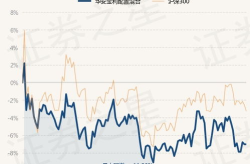 华安宝利配置基金,多元化投资策略下的稳健收益之道