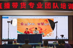 温州烟草信息网,透视温州烟草产业新篇章