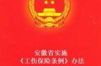 安徽保险网,全方位保险资讯与服务平台概览