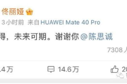 今日娱乐圈吃瓜总结,揭秘今日热点事件大揭秘