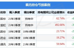 基金213003,业绩与策略深度解析