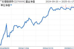 270007基金净值,市场动态与投资策略洞察
