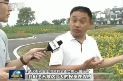 快乐吃瓜娱乐新闻视频在线观看,热门吃瓜娱乐新闻视频在线观看指南