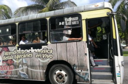 娱乐吃瓜酱坐公交车,揭秘明星幕后趣事