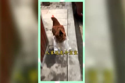 娱乐吃瓜群众酱,揭秘娱乐圈幕后故事