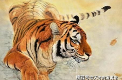 一步登天是什么生肖,一步登天的生肖传奇